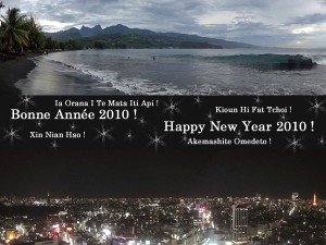 Bonne Année 2010